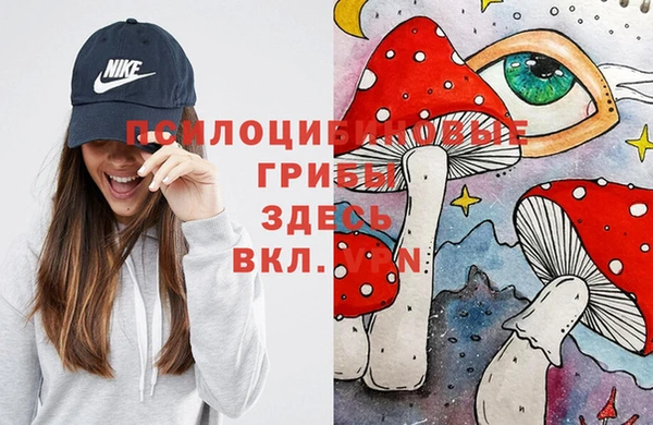 ECSTASY Нея