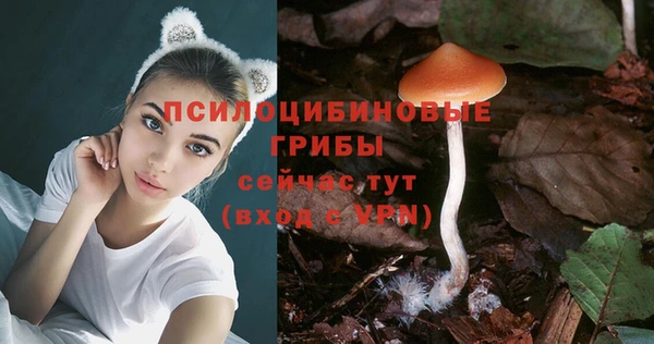скорость mdpv Нефтекумск